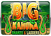 Big Kahuna Snakes And Ladders