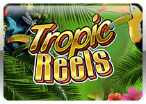 Игровой автомат Tropic Reels